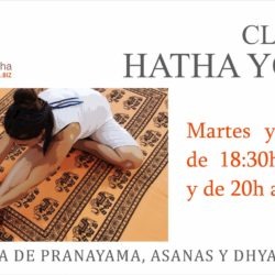 Clases Hatha Yoga 2023